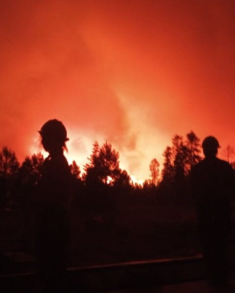 Un incendie majeur ravage le Grand Canyon