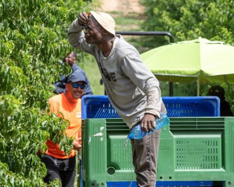 Un travailleur saisonnier de 61 ans meurt d'un coup de chaleur à Alcarràs, Espagne, sous 41°C