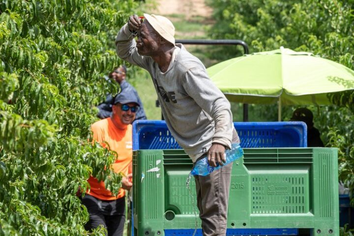 Un travailleur saisonnier de 61 ans meurt d'un coup de chaleur à Alcarràs, Espagne, sous 41°C