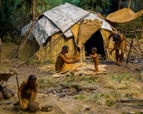 Une découverte au Kenya remet en question notre compréhension des capacités cognitives des premiers hominidés