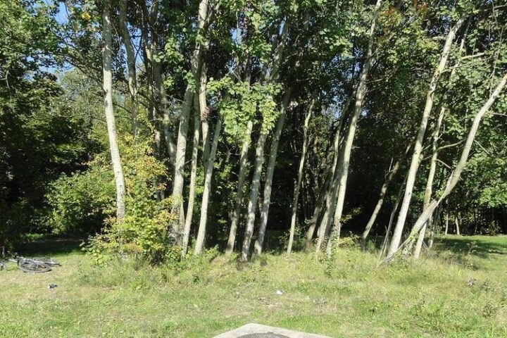 Une fillette de 11 ans sauve un enfant de 5 ans tombé dans un puits de 6 mètres au Massachusetts