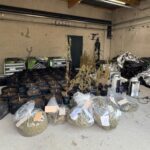 Une savonnerie artisanale dissimulait une plantation de cannabis.