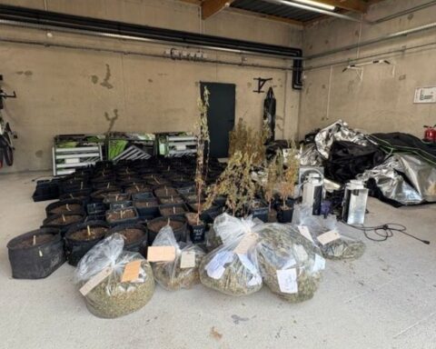 Une savonnerie artisanale dissimulait une plantation de cannabis.