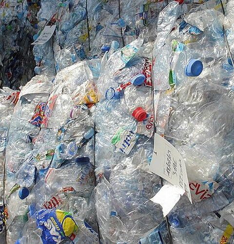 Urgence à Genève : les diplomates de 184 pays luttent pour un traité contre la pollution plastique