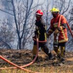 Vingt-cinq départements placés en alerte orange en raison d'un risque élevé de feux de forêt