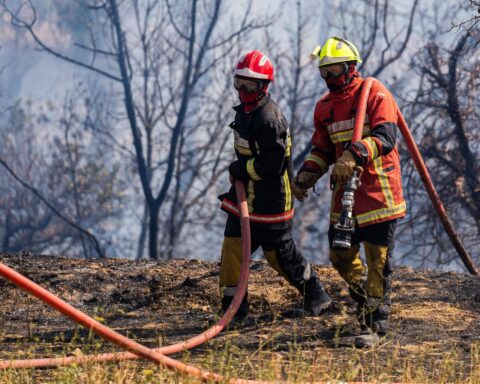 Vingt-cinq départements placés en alerte orange en raison d'un risque élevé de feux de forêt
