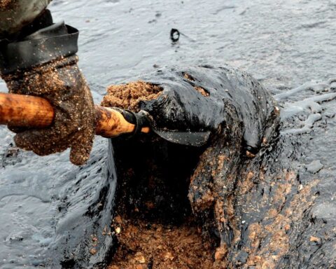 Une marée noire menace la Crimée après un accident pétrolier à Novorossiïsk