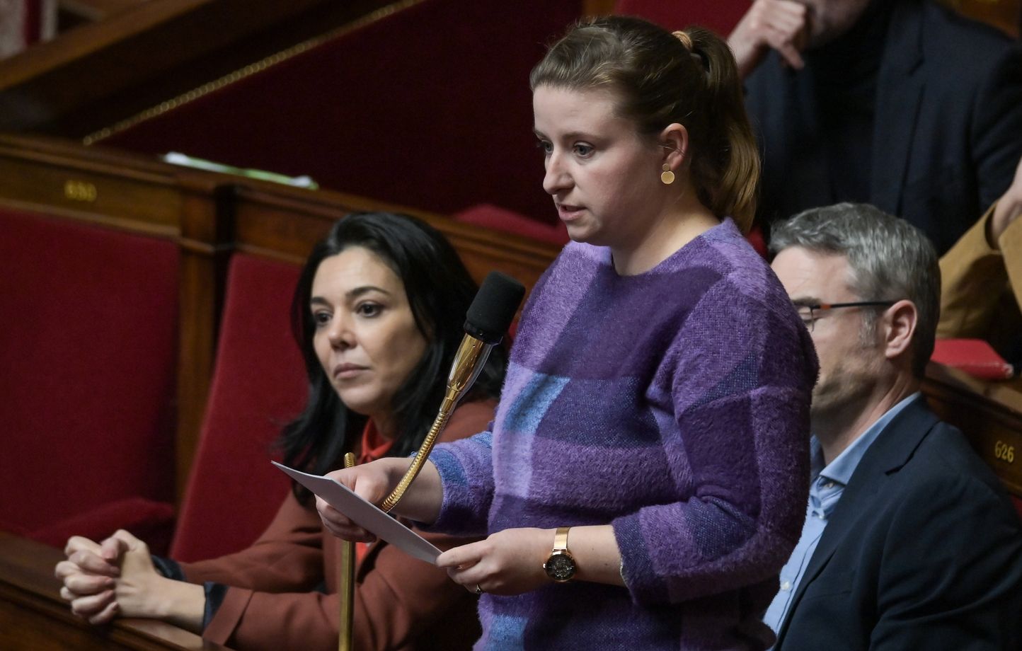 Annulation d'une fête du cochon en Bretagne après la contestation d'une députée LFI