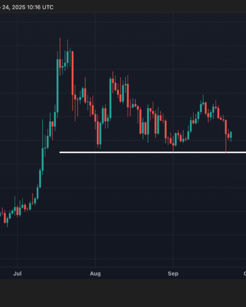 Aster surpasse Hyperliquid en revenus dans un contexte de concurrence accrue des DEX