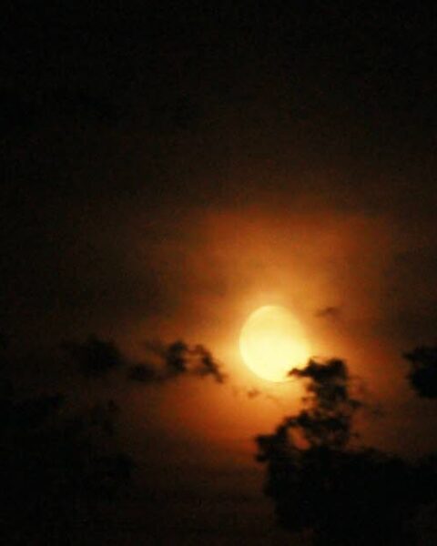 Astronomie : éclipse lunaire totale visible ce dimanche en France