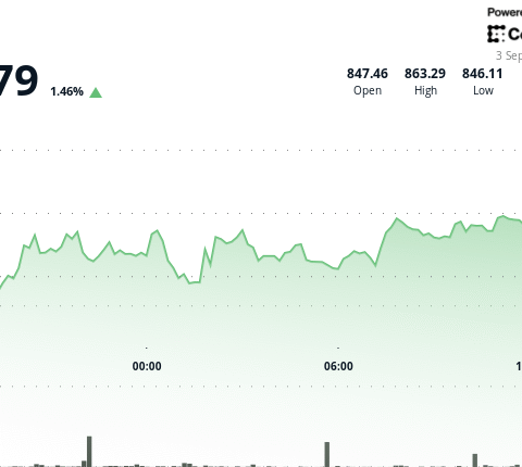 BNB progresse de 1,5 % alors que CEA Industries augmente ses réserves à 388 888 tokens