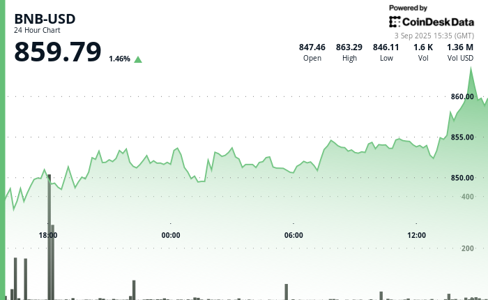 BNB progresse de 1,5 % alors que CEA Industries augmente ses réserves à 388 888 tokens