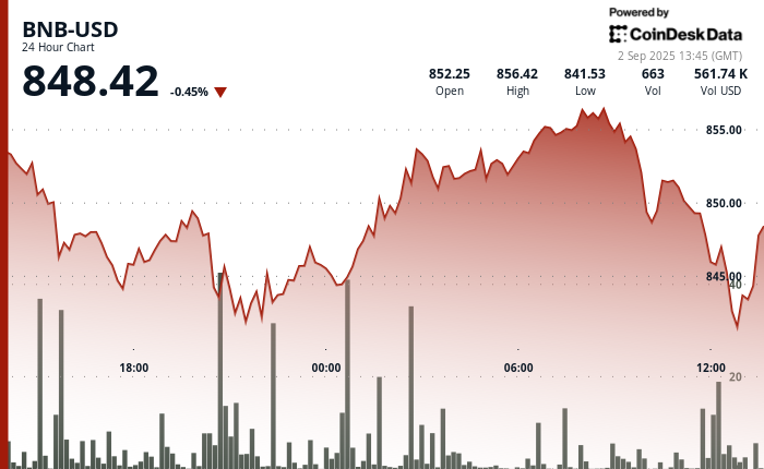 BNB se maintient près de 850 $ après un bref rallye au-dessus de 855 $