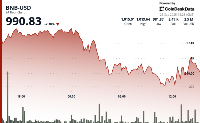 BNB tombe en dessous de 1 000 $ alors que le marché des cryptomonnaies décline et que l'indice de peur s'approche de 'la peur'