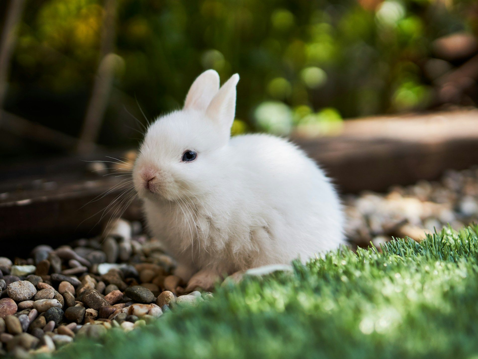 Bunni suspend ses contrats intelligents après un vol de 8,4 millions de dollars en crypto-monnaies