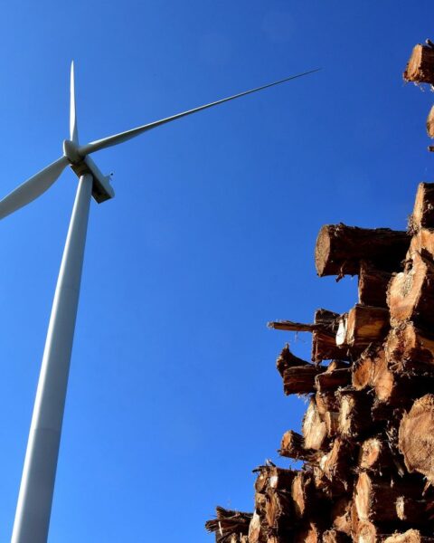 Des associations s'opposent à l'installation d'éoliennes à Arconsat dans le Puy-de-Dôme
