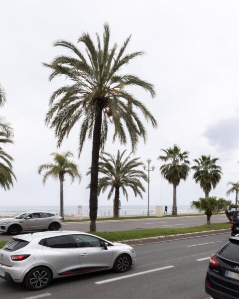 Des centaines de manifestants en France s'opposent aux zones à faibles émissions malgré leur suppression votée par l’Assemblée nationale