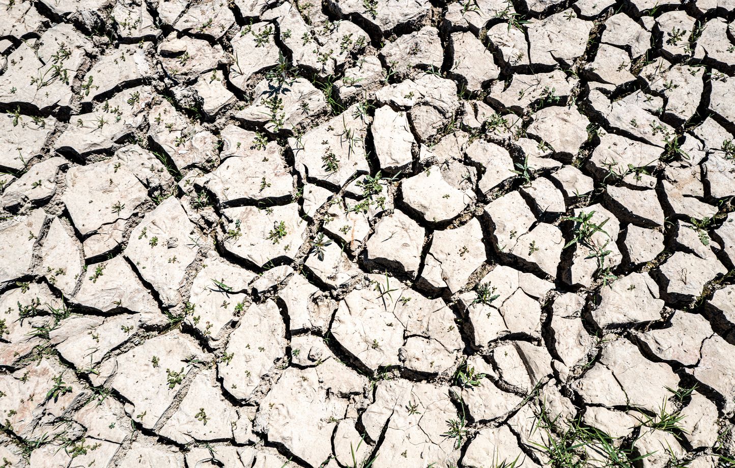 Des restrictions d'eau renforcées en Corse-du-Sud face à une sécheresse inquiétante