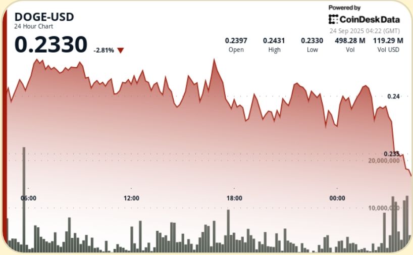 DOGE se maintient au-dessus du support de 0,24 $ lors d'une session volatile