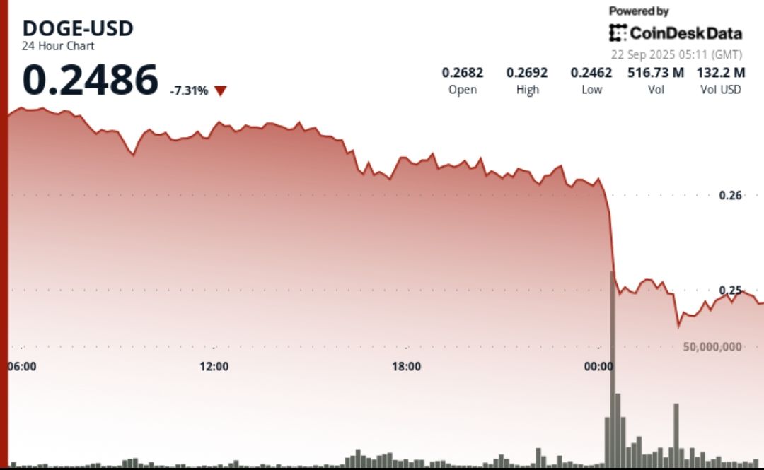 Dogecoin subit une chute à 0,25 $ avec des volumes institutionnels records, un modèle '1-2' se dessine