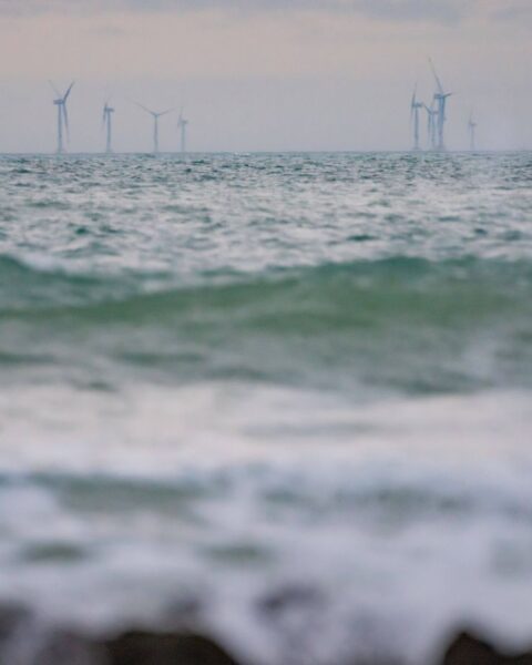 Douze millions d’euros pour moderniser la flotte de pêche française grâce à l’éolien