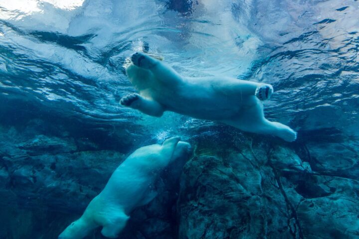 Ether plonge dans les prix des cryptomonnaies, inversant la tendance de hausse initiale