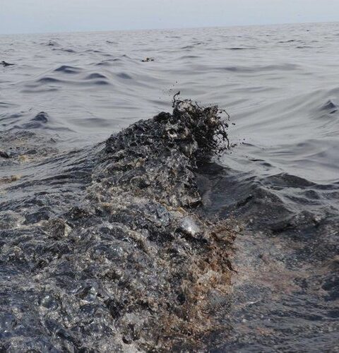Fuite sur un pétrolier russe : une marée noire menace la Crimée avec 10 tonnes déversées