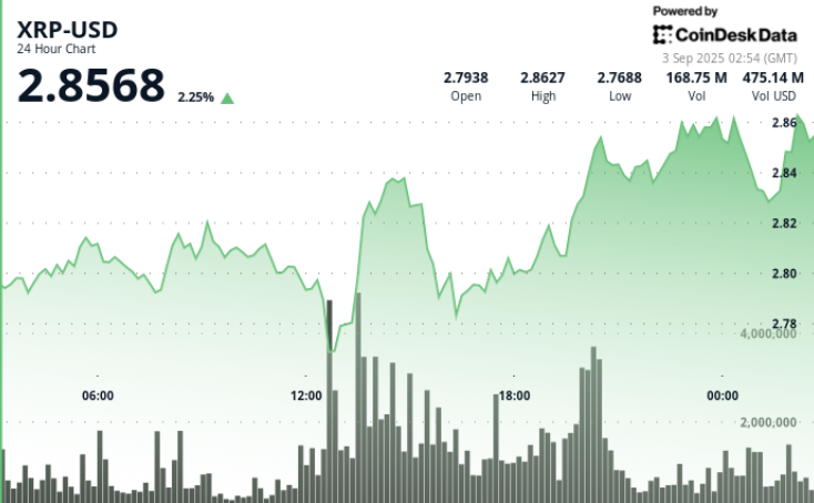 Idée de trading XRP : accumulation importante et résistance à 3,30 $ malgré la volatilité du marché