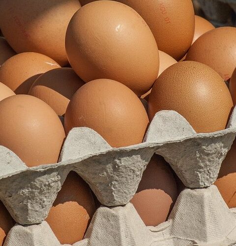 Importation d'œufs ukrainiens en France : des produits controversés ne respectant pas les normes de l'UE