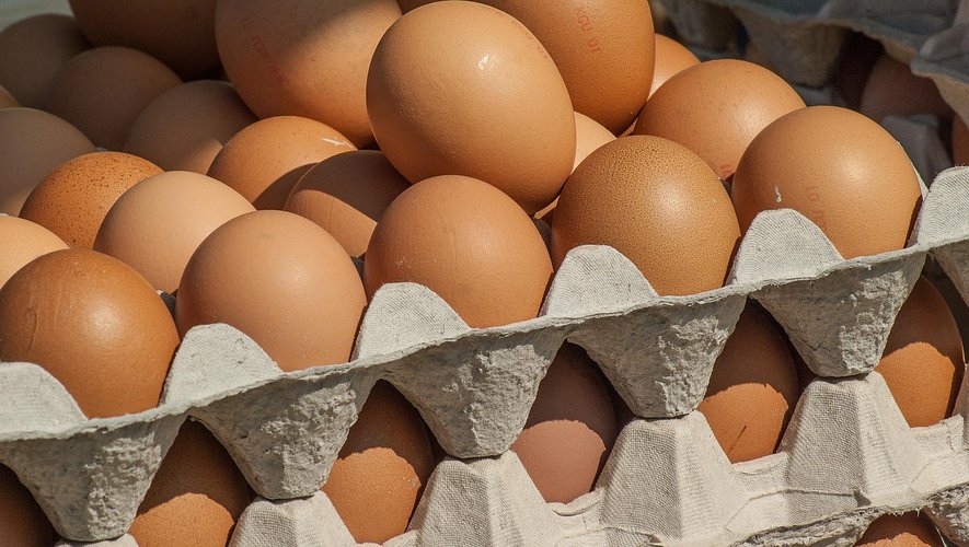 Importation d'œufs ukrainiens en France : des produits controversés ne respectant pas les normes de l'UE