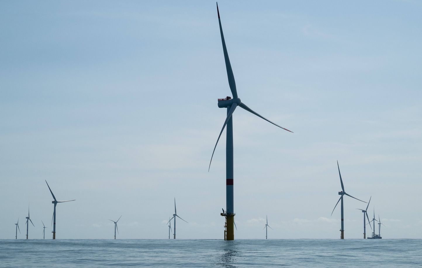La Cour des comptes appelle à une action urgente pour la transition écologique en France