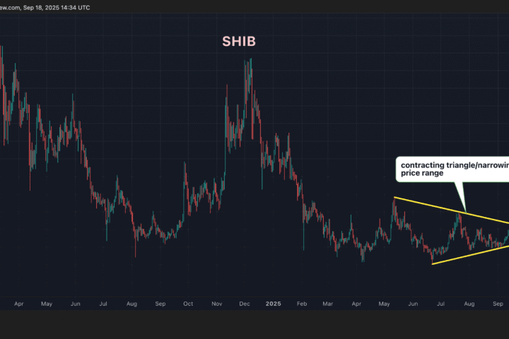 La volatilité réalisée du Shiba Inu chute alors qu'une baleine déplace 7 trillions, atteint un record bas face au Dogecoin