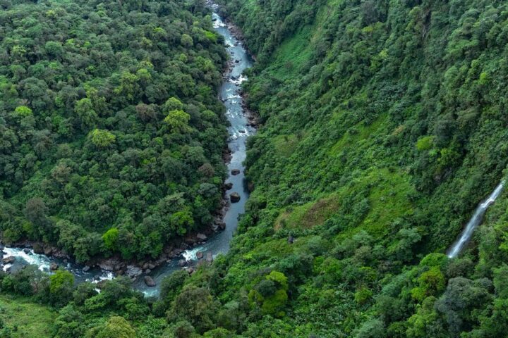L'Amérique latine, région la plus meurtrière pour les défenseurs de l'environnement en 2024