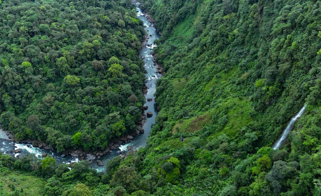 L'Amérique latine, région la plus meurtrière pour les défenseurs de l'environnement en 2024