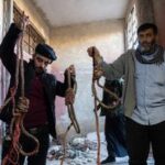 Lancement du musée des prisons en Syrie : un témoignage sur les horreurs de Sednaya