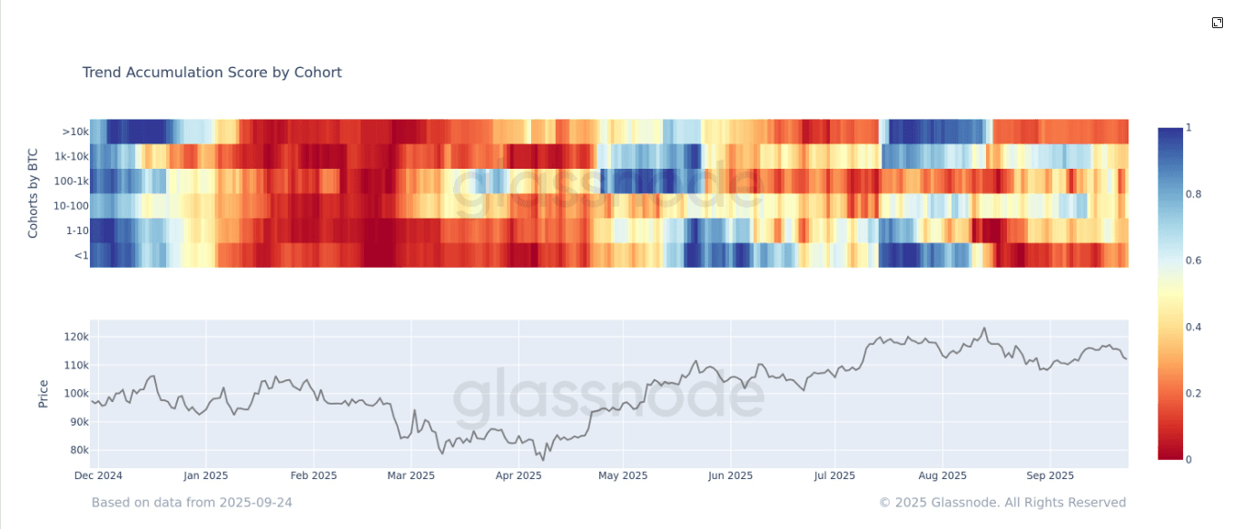 Le bitcoin se stabilise autour de 112 000 $ alors que les whales intensifient les ventes