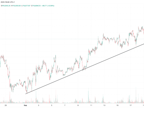 Le marché de la crypto-monnaie enregistre une chute vendredi, effaçant les gains de la semaine