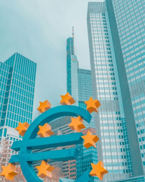 Le numérique euro, un outil essentiel en cas de grandes perturbations, affirme un membre de la BCE
