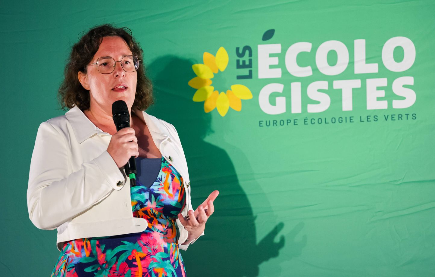 Les écologistes appellent à un gouvernement d'union de la gauche pour redonner le pouvoir au Parlement