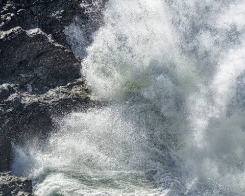 Les limites planétaires face aux crises environnementales : fiabilité en question selon le PIK