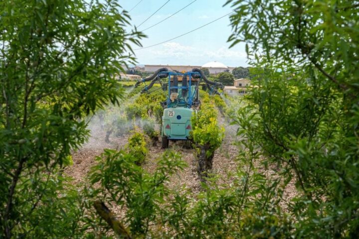 Les résidents proches des vignes exposés à des niveaux élevés de pesticides, confirme une étude