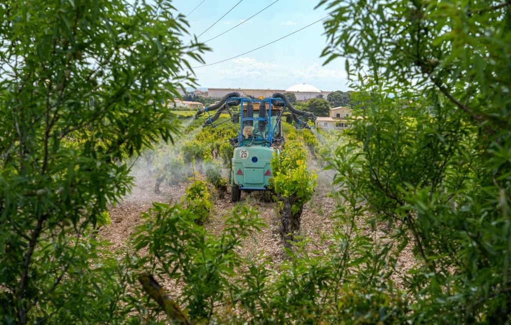 Les résidents proches des vignes exposés à des niveaux élevés de pesticides, confirme une étude