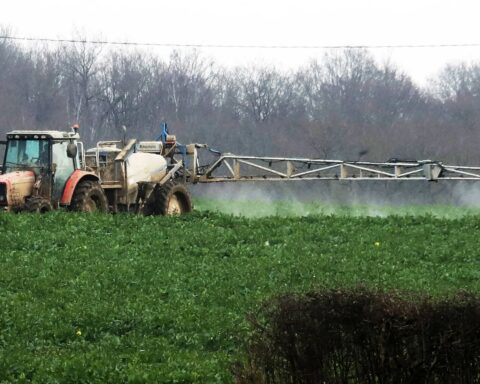 L’État sommé de réviser ses procédures d’autorisation des pesticides pour protéger la biodiversité
