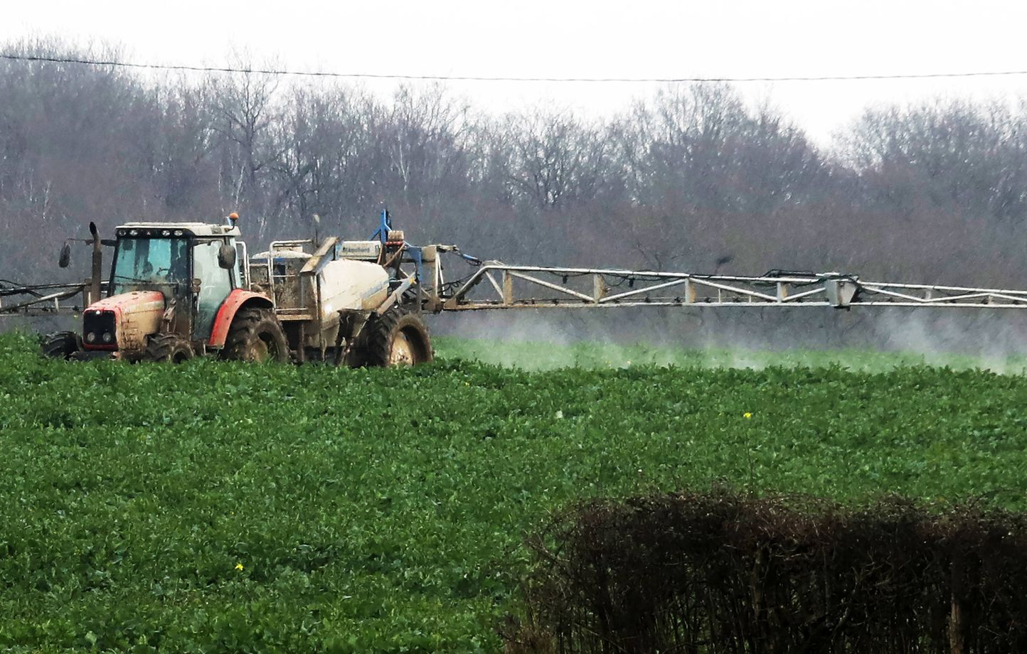 L’État sommé de réviser ses procédures d’autorisation des pesticides pour protéger la biodiversité
