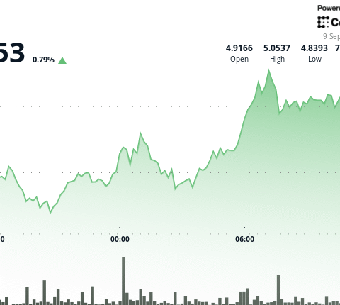 L'ICP chute de 3 % alors que le rallye stagne à la résistance de 5,05 $