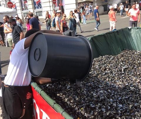 Lille installe des bancs en coquilles de moules issus de la Braderie 2023