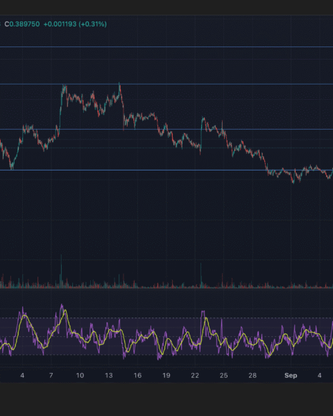 L'XLM de Stellar chute sous un support clé en raison d'une vente institutionnelle