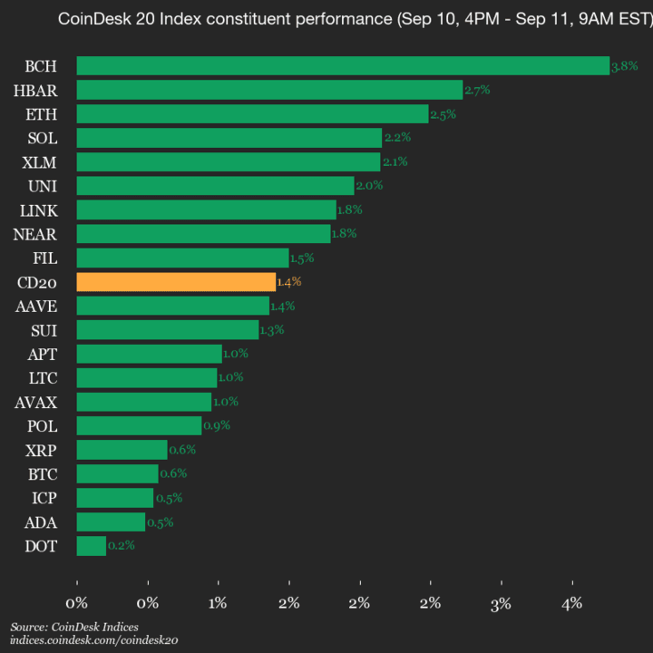 Mise à jour des performances du CoinDesk 20 : l'indice progresse de 1,4 % avec tous les actifs en hausse
