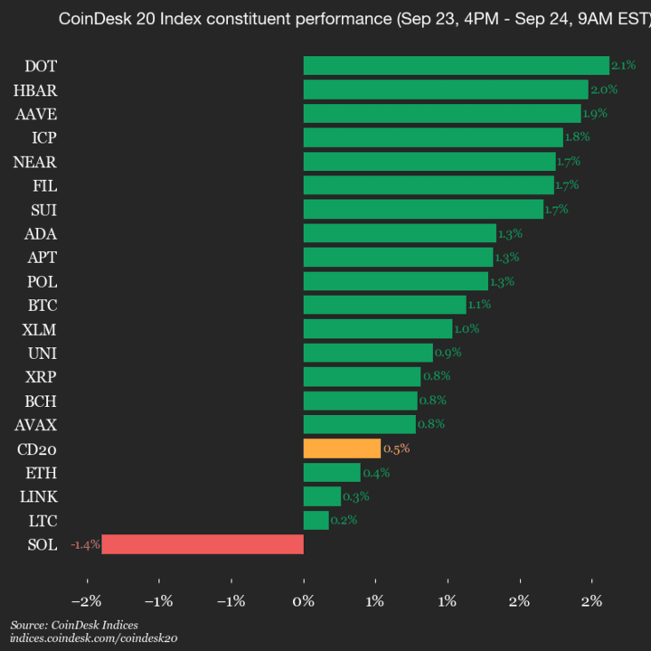 Mise à jour des performances du CoinDesk 20 : Polkadot (DOT) en hausse de 2,1 % alors que l'indice progresse