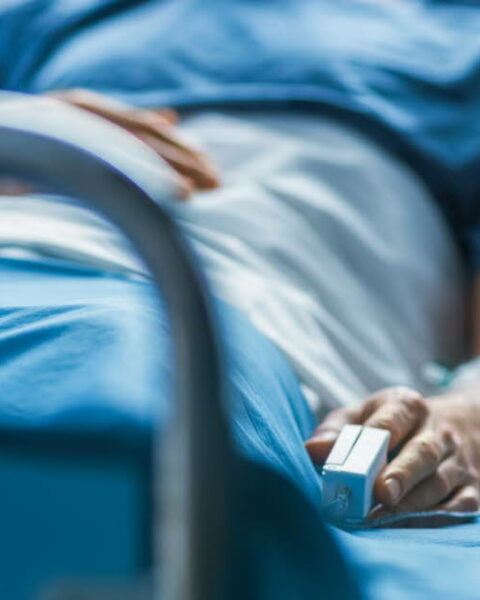 Propagation alarmante d'un champignon résistant aux médicaments dans les hôpitaux européens